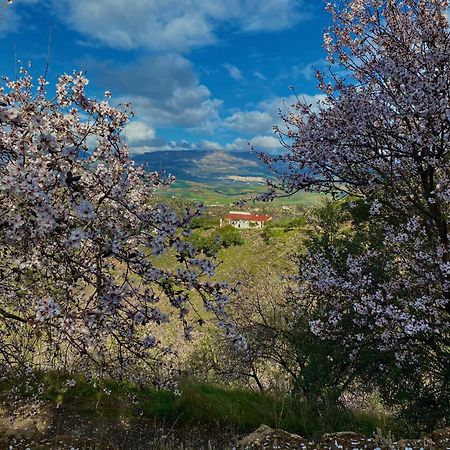 El Sueno, Cortijo Andalusi Del Siglo XIX Βίλα Almogía Εξωτερικό φωτογραφία